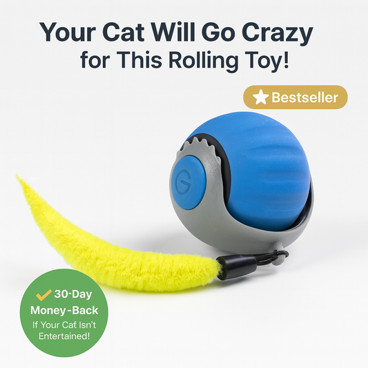 Smart Roller Pro 360