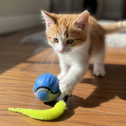 Smart Roller Pro 360